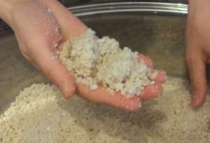 719 koji and salt chunk